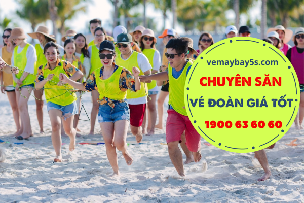Đặt vé đoàn Vietjet Air, Pacific Airlines và Vietnam Airlines