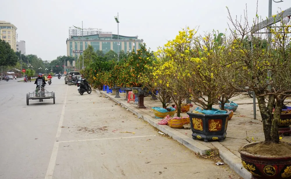 Vé máy bay Tết đi Thanh Hóa giá rẻ nhất 2 Trở về Thanh Hóa với không khí se lạnh quen thuộc