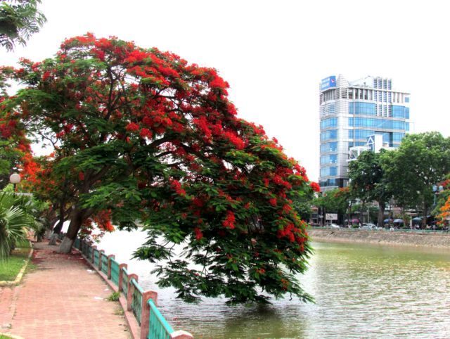 Vé máy bay giá rẻ Sài Gòn đi Hải Phòng