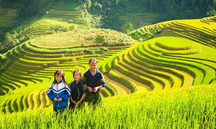 Sapa