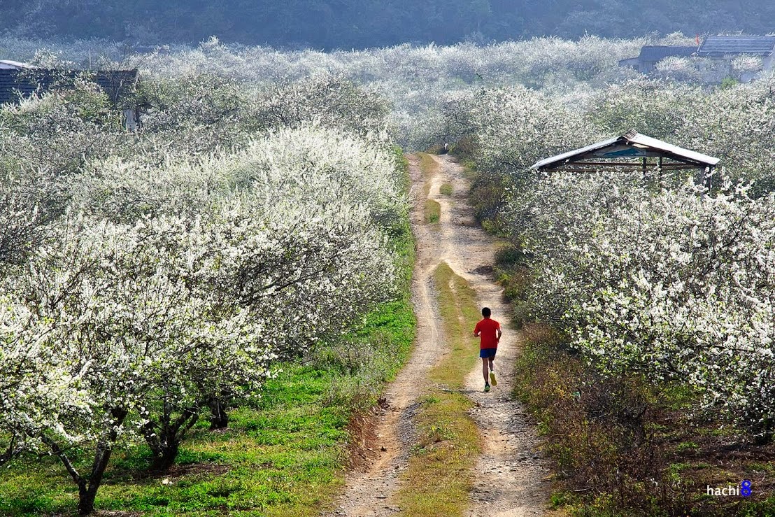Vé máy bay khuyến mãi đi Điện Biên