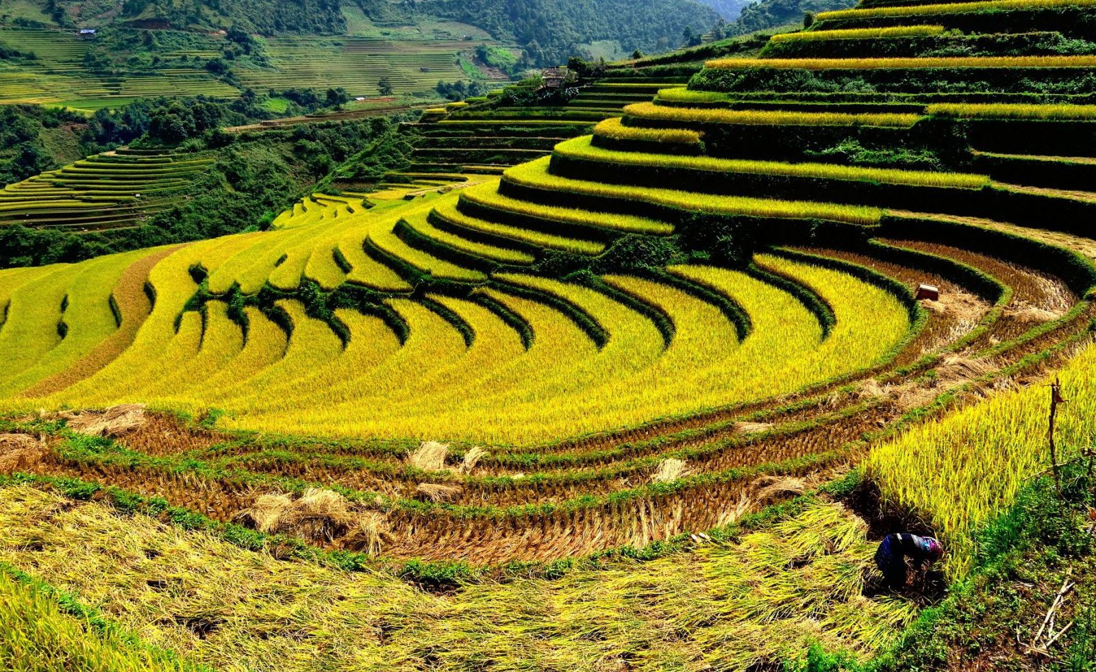 Vé máy bay đi Điện Biên Phủ hè 2017