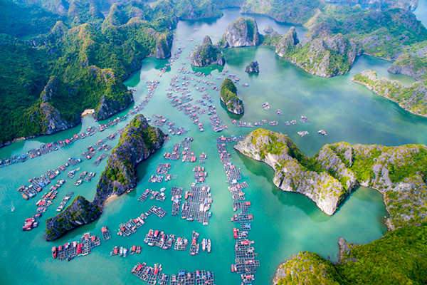 Vé máy bay Sài Gòn Hải Phòng