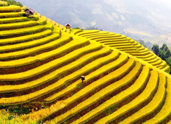 Săn vé máy bay giá rẻ tháng 9 Vietjet Air