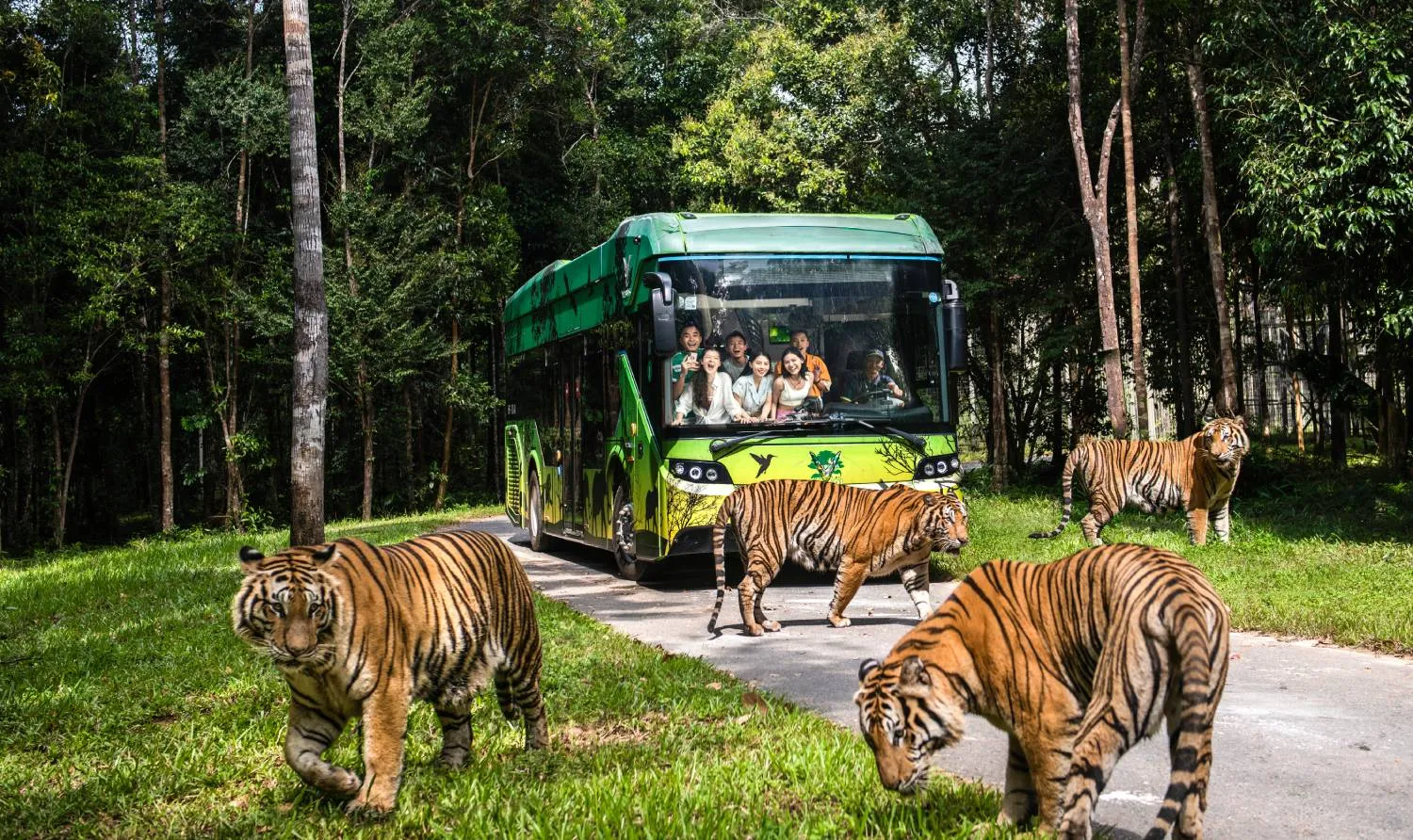 Vinpearl Safari là địa điểm khám phá thích hợp cho nhiều gia đình có trẻ em