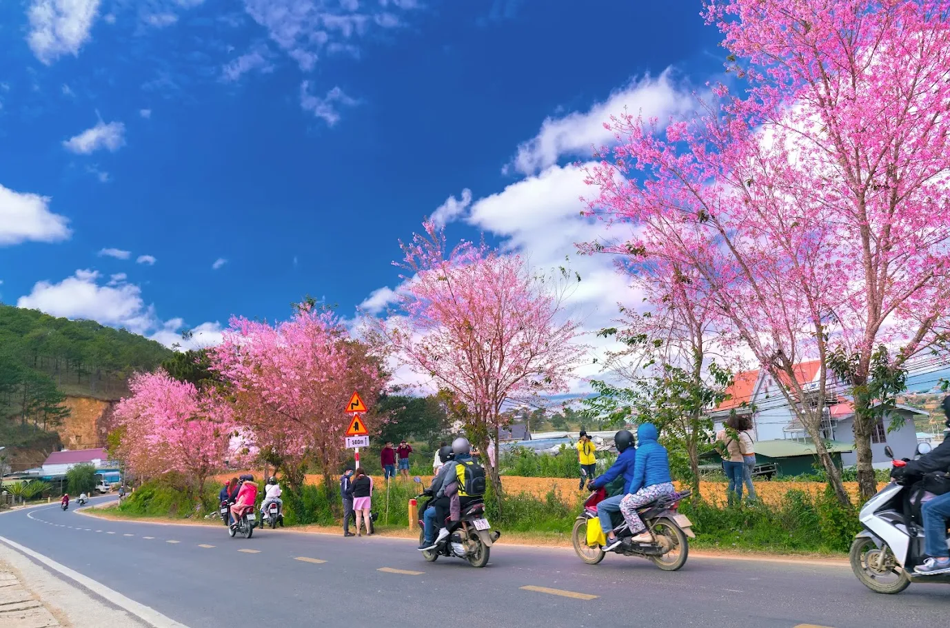 Tận hưởng không khí thơ mộng của Đà Lạt những ngày đầu năm