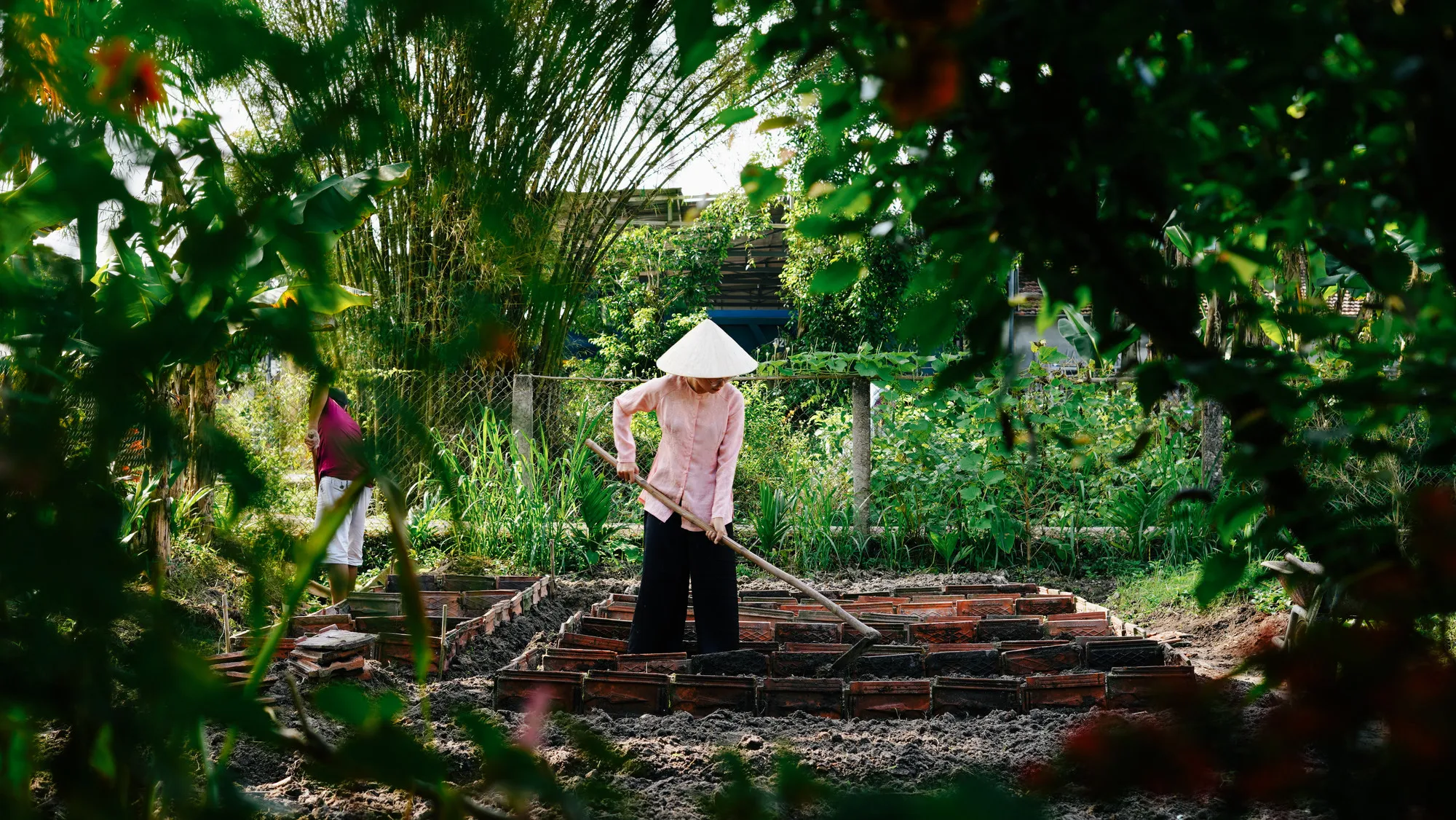 Lựa chọn nán lại vài ngày để giúp bố trồng nốt luống rau sau vườn